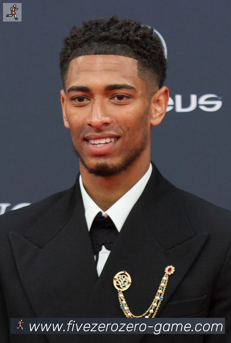 维尼修斯